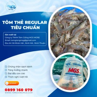 Tôm thẻ Regular Tiêu Chuẩn